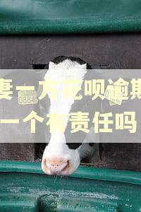 夫妻一方花呗逾期了,另一个有责任吗