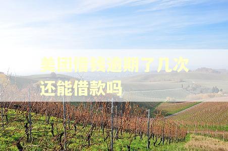 美团借钱逾期了几次还能借款吗