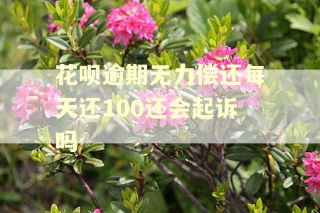 花呗逾期无力偿还每天还100还会起诉吗