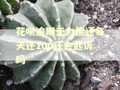 花呗逾期无力偿还每天还100还会起诉吗