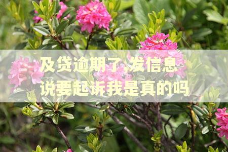 及贷逾期了,发信息说要起诉我是真的吗