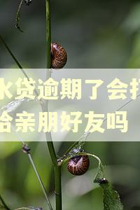 滴水贷逾期了会打电话给亲朋好友吗