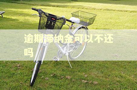 逾期滞纳金可以不还吗 逾期滞纳金可以不还吗