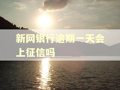 新网银行逾期一天会上征信吗