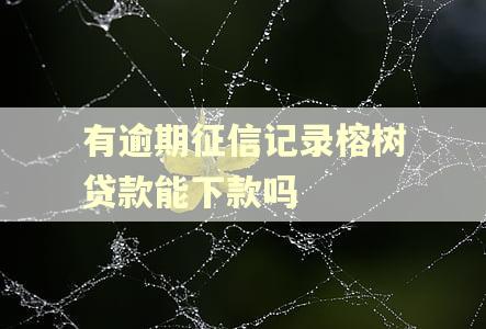 有逾期征信记录榕树贷款能下款吗
