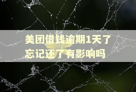 美团借钱逾期1天了忘记还了有影响吗