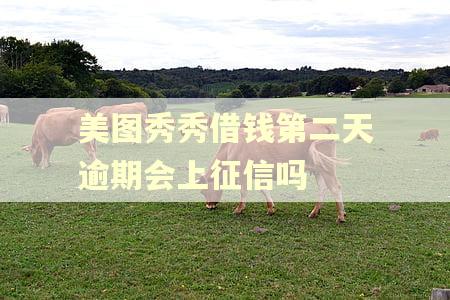 美图秀秀借钱第二天逾期会上征信吗