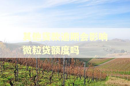 其他贷款逾期会影响微粒贷额度吗