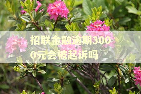 招联金融逾期3000元会被起诉吗