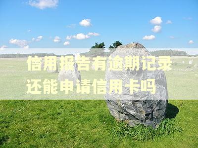 信用报告有逾期记录还能申请信用卡吗