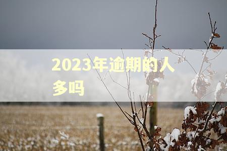 2023年逾期的人多吗