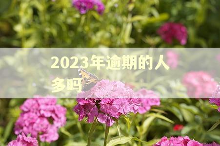 2023年逾期的人多吗