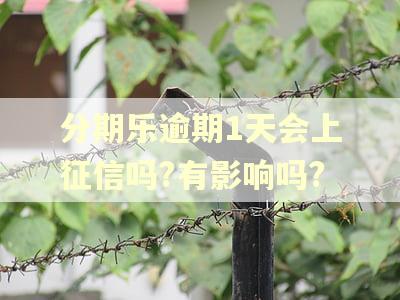 分期乐逾期1天会上征信吗?有影响吗?