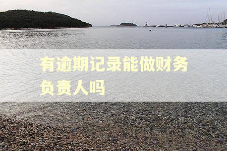 有逾期记录能做财务负责人吗