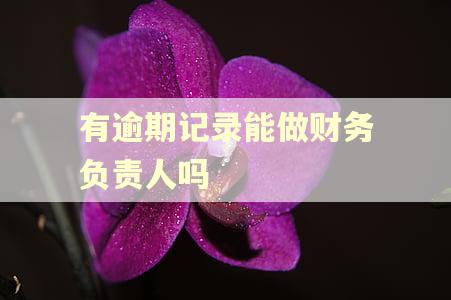 有逾期记录能做财务负责人吗