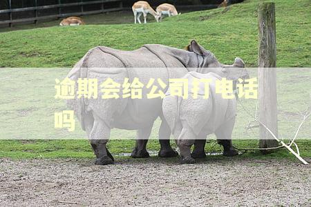 逾期会给公司打电话吗