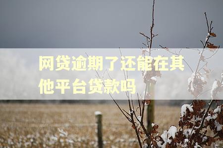 网贷逾期了还能在其他平台贷款吗