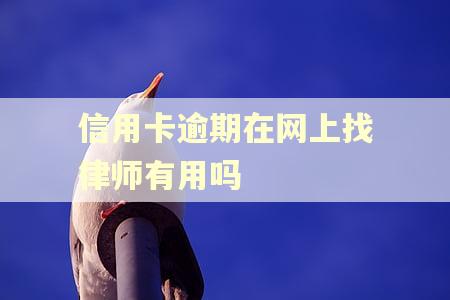 信用卡逾期在网上找律师有用吗