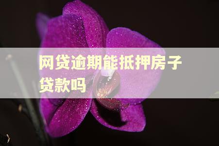 网贷逾期能抵押房子贷款吗