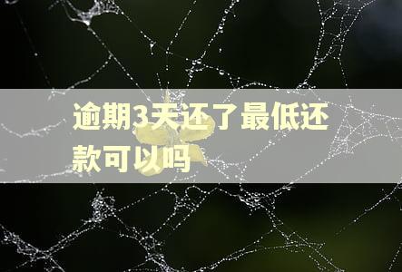 逾期3天还了最低还款可以吗
