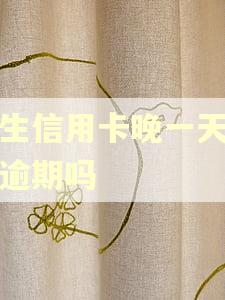 民生信用卡晚一天还算逾期吗 民生信用卡晚一天还算逾期吗