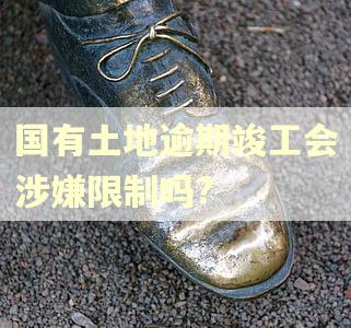 国有土地逾期竣工会涉嫌限制吗?