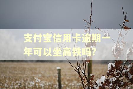 支付宝信用卡逾期一年可以坐高铁吗? 支付宝信用卡逾期一年可以坐高铁吗?