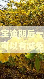 支付宝逾期后一次性结清可以有减免吗?