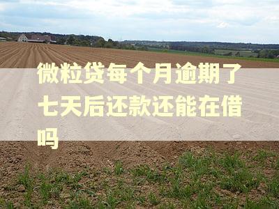 微粒贷每个月逾期了七天后还款还能在借吗