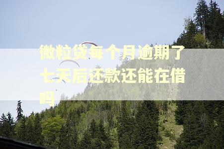 微粒贷每个月逾期了七天后还款还能在借吗