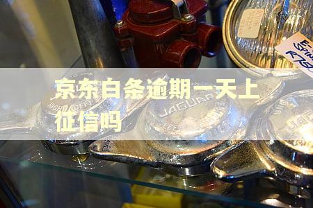 京东白条逾期一天上征信吗