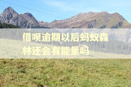 借呗逾期以后蚂蚁森林还会有能量吗