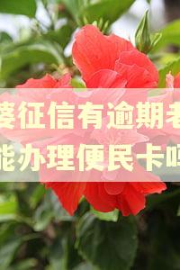 老婆征信有逾期老公还能办理便民卡吗
