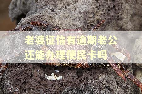 老婆征信有逾期老公还能办理便民卡吗 老婆征信有逾期老公还能办理便民卡吗