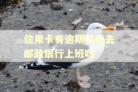 信用卡有逾期可以去邮政银行上班吗
