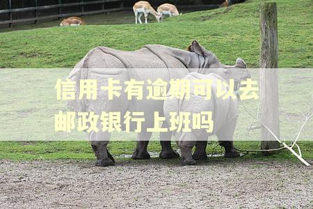 信用卡有逾期可以去邮政银行上班吗