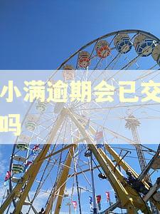 度小满逾期会已交法院吗
