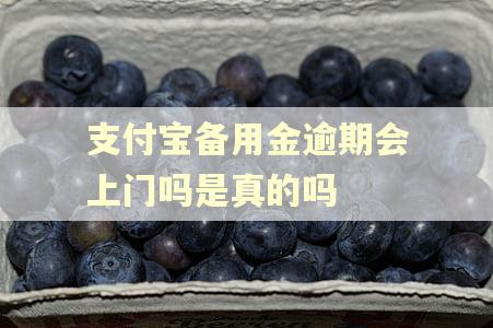 支付宝备用金逾期会上门吗是真的吗
