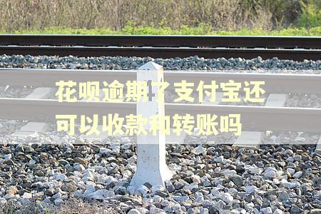 花呗逾期了支付宝还可以收款和转账吗