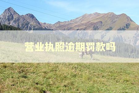 营业执照逾期罚款吗