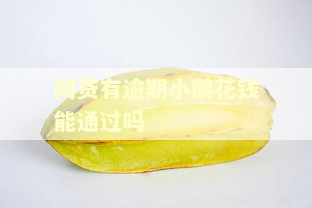 网贷有逾期小鹅花钱能通过吗