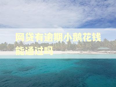 网贷有逾期小鹅花钱能通过吗