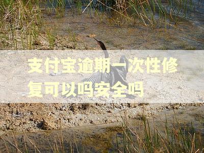支付宝逾期一次性修复可以吗安全吗