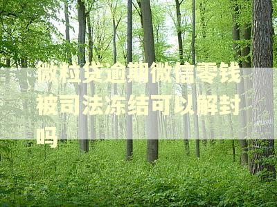 微粒贷逾期微信零钱被司法冻结可以解封吗