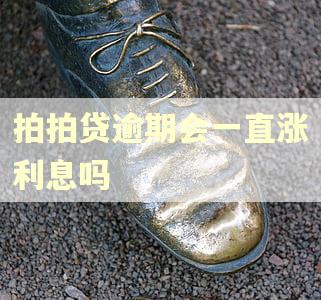 拍拍贷逾期会一直涨利息吗