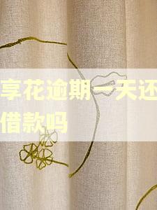 宜享花逾期一天还可以借款吗
