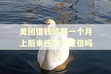 美团借钱逾期一个月上后来还清了征信吗