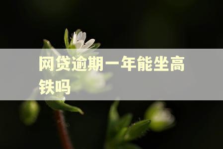 网贷逾期一年能坐高铁吗