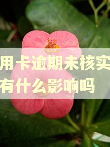 信用卡逾期未核实身份有什么影响吗