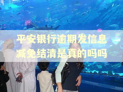 平安银行逾期发信息减免结清是真的吗吗